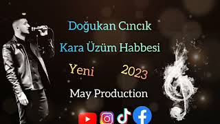 Doğukan Cıncık-Kara Üzüm Habbesi Cover Resimi