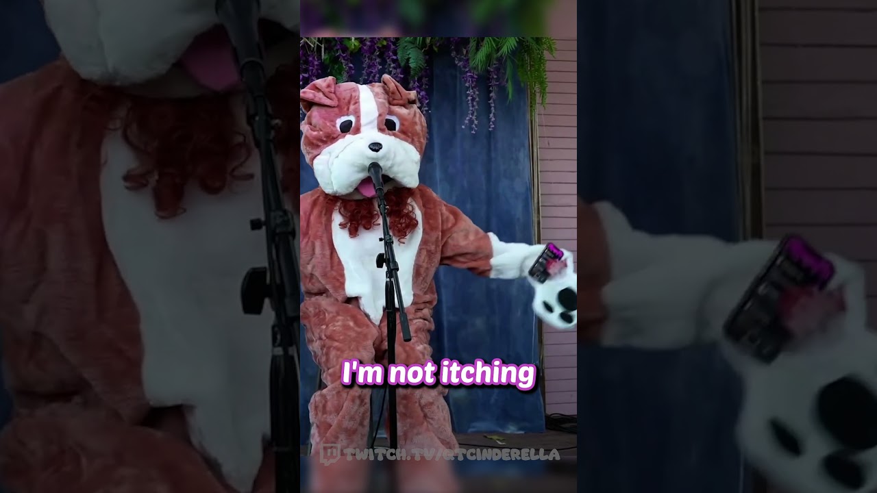 QTCinderella not beating the furry allegations..