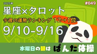 【星座×タロット】今週の運勢ランキング12→1位｜水曜日の朝は #ぱんだ体操　049