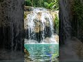 浄景 (jōkei) • Tropical Waterfall Pool • Pure Scenery