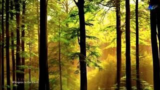 YANNI - Whispers in the Dark