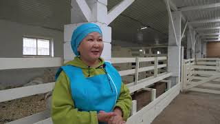 Производство козьего молока в Акмолинской области