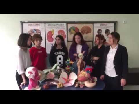 29 #122 საჯ  სკ   გუნდი მკვლევარები122