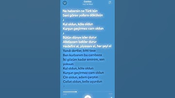 Thumbnail of Cambaz - Mor ve ötesi