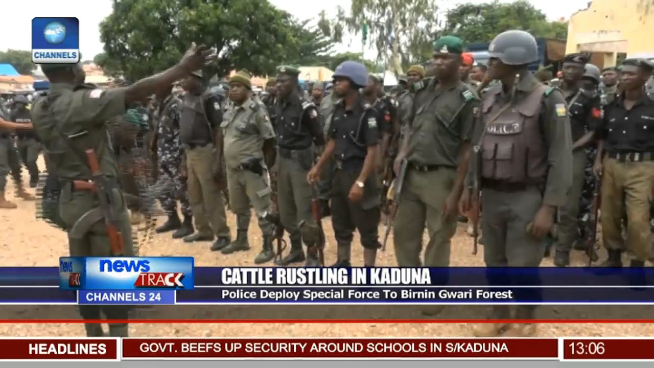 Police Deploy Special Force To Birnin Gwari Forest