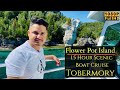 Glass Bottom Boat Cruise Tobermory | Shipwrecks | Flowerpot Island | Ontario, Canada Vlog 20