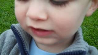 VID00781