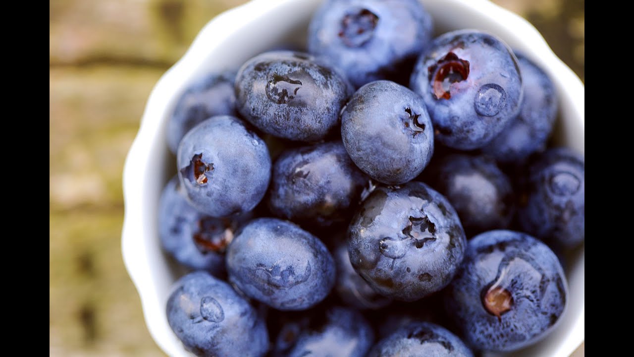 Blueberries YouTube