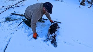 Famous Quick Beaver trapping with Jesse Wealth