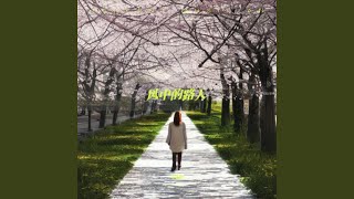 风中的路人（遗憾版）