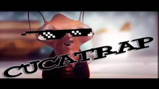 Cucatrap Sacandole El Cuero A Franz