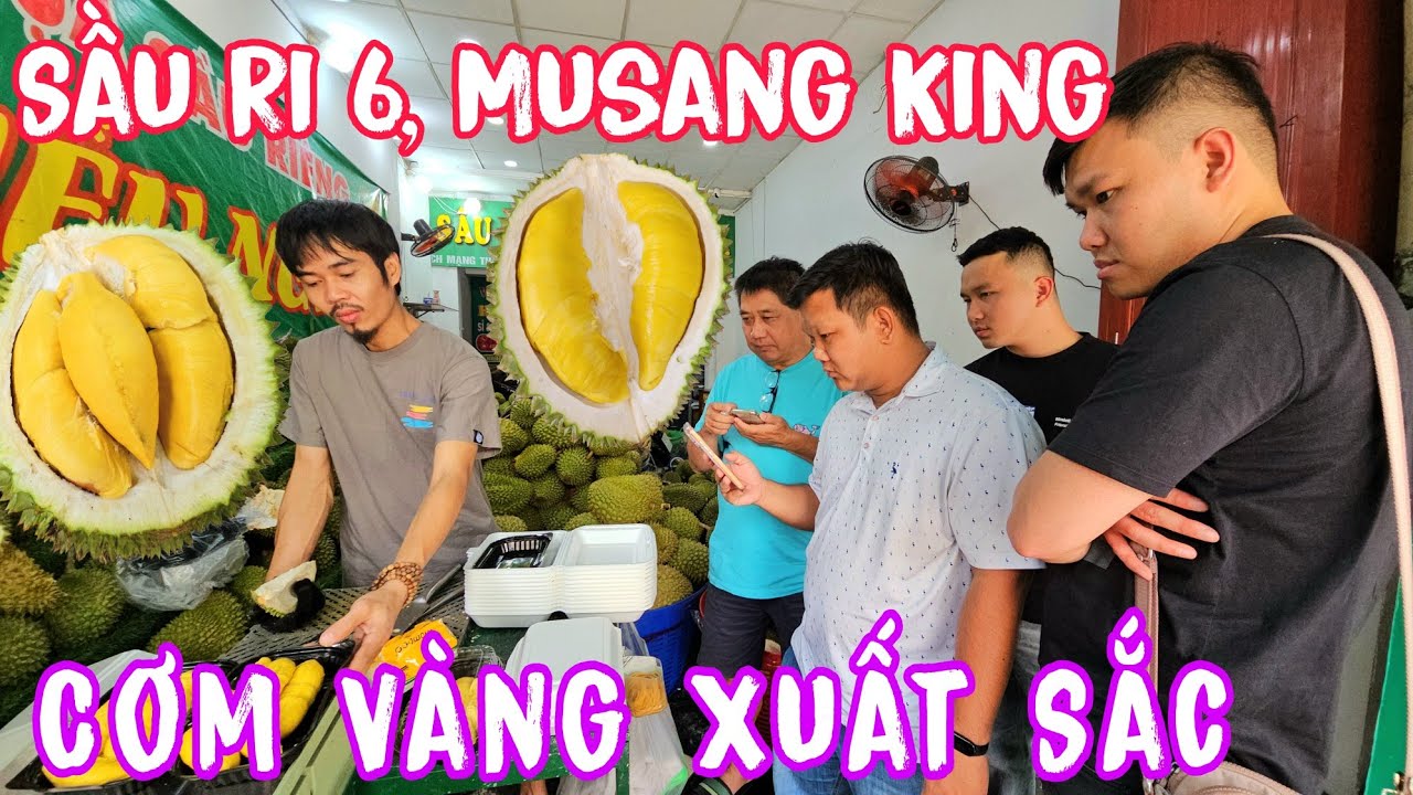Hôm Nay Dũng Dê Khui Sầu Riêng Ri 6, Musang King Cơm Vàng Xuất Sắc