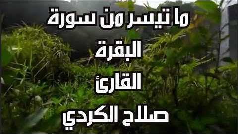 ما تيسر من سورة البقرة 2 | القارئ صلاح الكردي