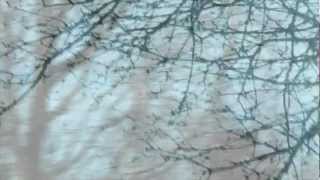 PETER BEAR'S DEN ONLINE PRESENTS "NATURE POEM" (A short film by Peter Bear) PETER BEAR'S DEN ONLINE PRESENTS "NATURE POEM" (A short film by Peter Bear)