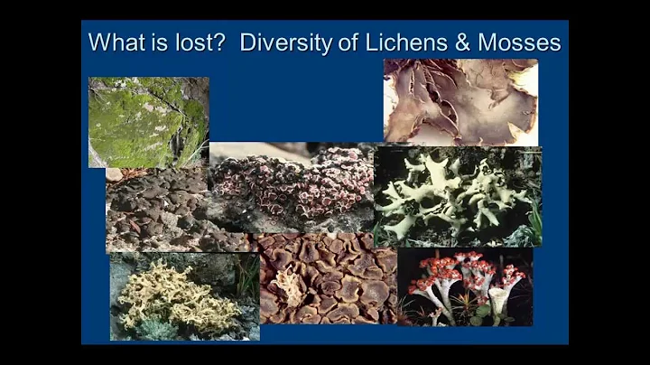 Roger Rosentreter - Speak to me Lichen, How Stable...