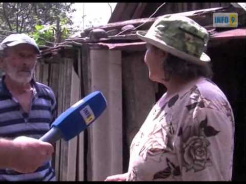 ბოსელი - ოჯახის თავშესაფარი