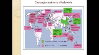 Webinars: Targeting BAP1 Mutations / Development of a Mouse Model