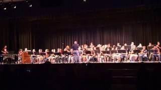 DSC6192   Super Band   Swt GA Brwn