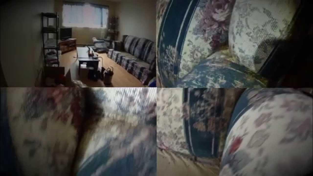 Bed Bugs Heavily Infest Couch in elderly lady's home. YouTube