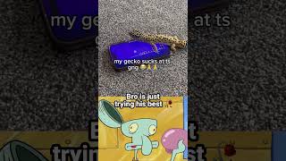 Gecko plays Geometry Dash 😭✌️