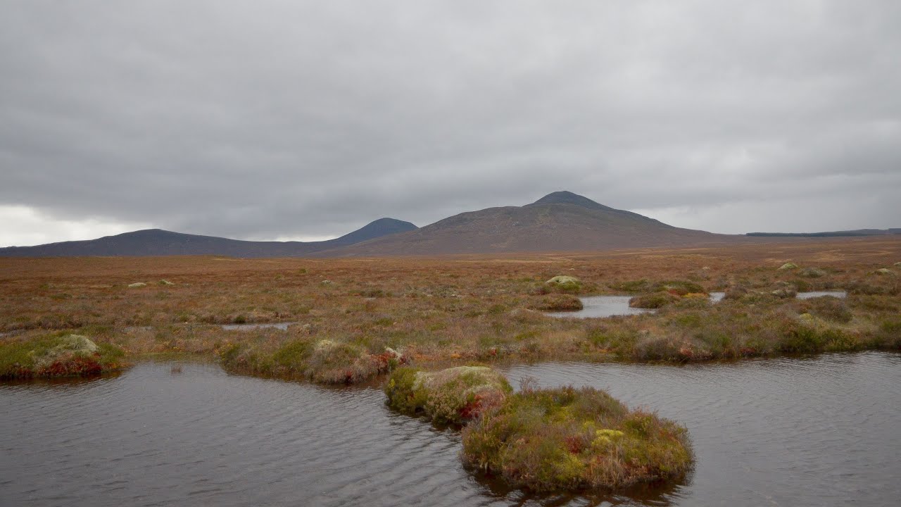 3% - Peatlands | The Flow Country. Northern Scotland