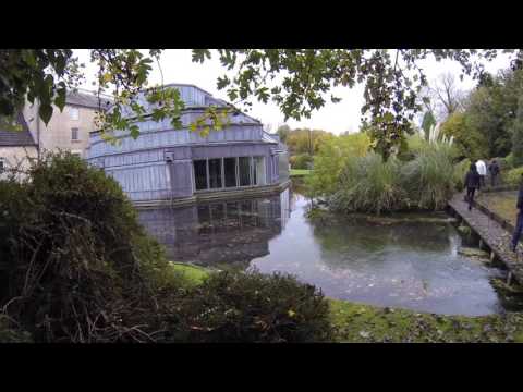 Visite des studios mythiques de Peter Gabriel - Real World Studio