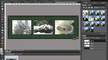 Three Picture Triptych - Photoshop Elements 9