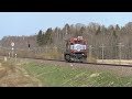 Тепловоз Ц36-7и-1523 близ ст. Вайвара / GE C36-7i-1523 between Vaivara and Auvere