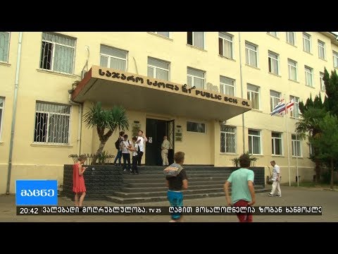 ბათუმის საჯარო სკოლებში გამოვლენილი სხვადასხვა ტიპის დარღვევები