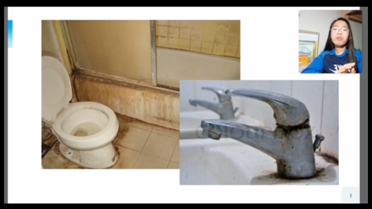 Serratia marcescens YouTube