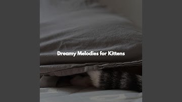 Modish Ambiance for Open Work Floors