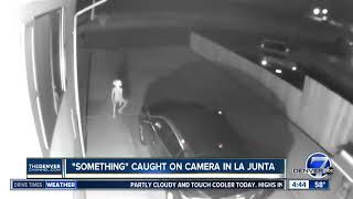I EDITED "Alien" caught on camera in La Junta / funny edit