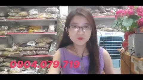 NGƯỜI HUYẾT ÁP THẤP CÓ DÙNG CÂY XẠ ĐEN ĐƯỢC KHÔNG?