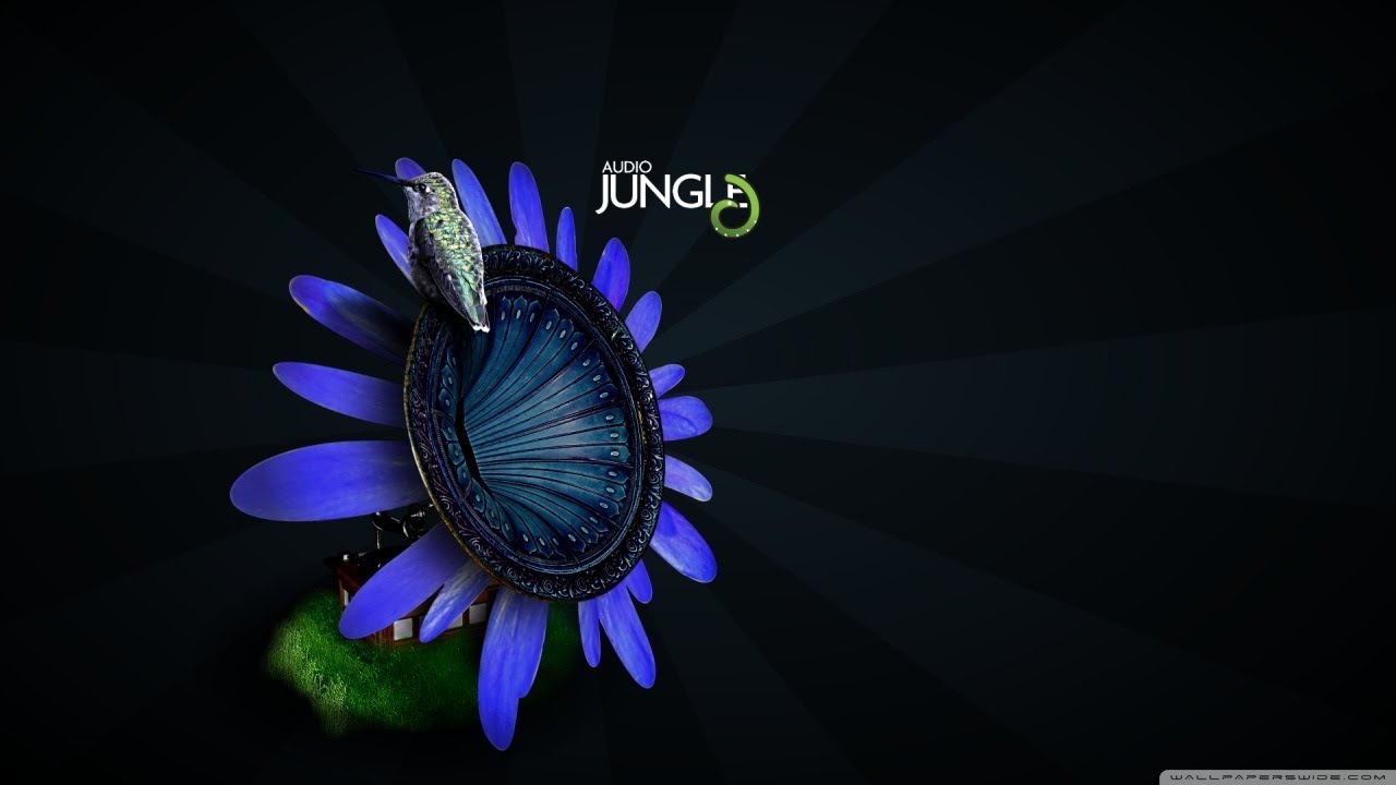 Sound - Tension Whoosh to Sub Bass Hit | AudioJungle Download