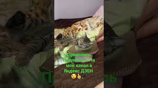 Вот такое доброе утро 😉👍👍