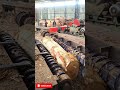 Full Power Wood Cutting Machine 😳 #shortvideo