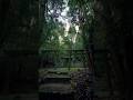 諏訪神社/鹿児島