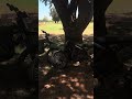 #rawrr #ebike #bikelife