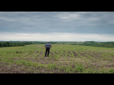 GREENER PASTURES / Official Film Festival Trailer