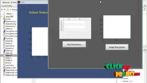 Final Year Projects | Robust Watermarking of Compressed and Encrypted JPEG2000 Images