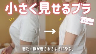 【見た目マイナス５㎏】圧倒的着やせ。大きな胸を小さく見せるブラ５選！【VEIMIA】