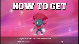 How To Evolve Sneasel Into Weavile In Pokemon Sword And Shield How To Get Razor Claw Best Method Youtube