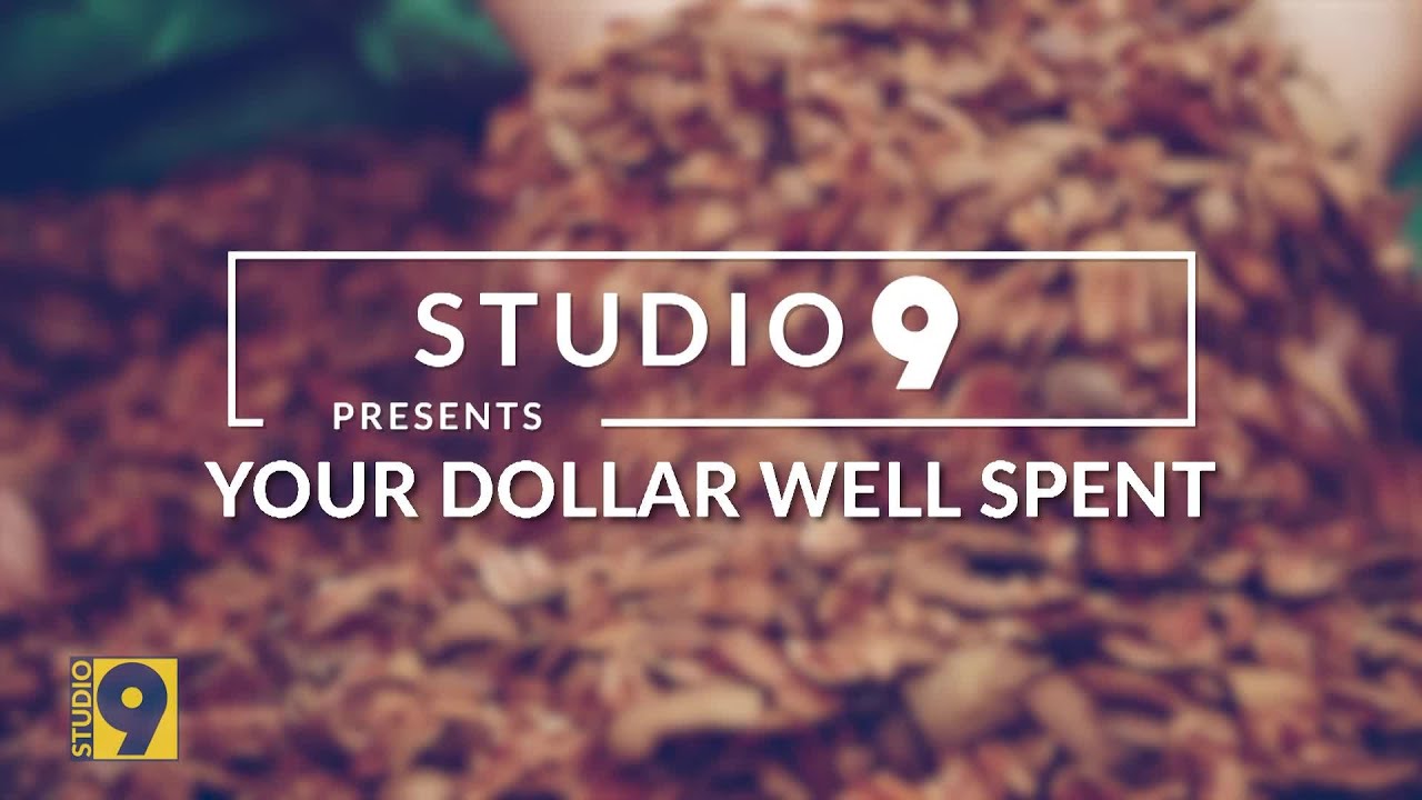 Studio 9Big Yellow Bag Money Well Spent YouTube