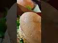 Barger In Chap Station Restaurant Shorts Youtubeshorts Burger Vlogger Food Foodie Youtube 
