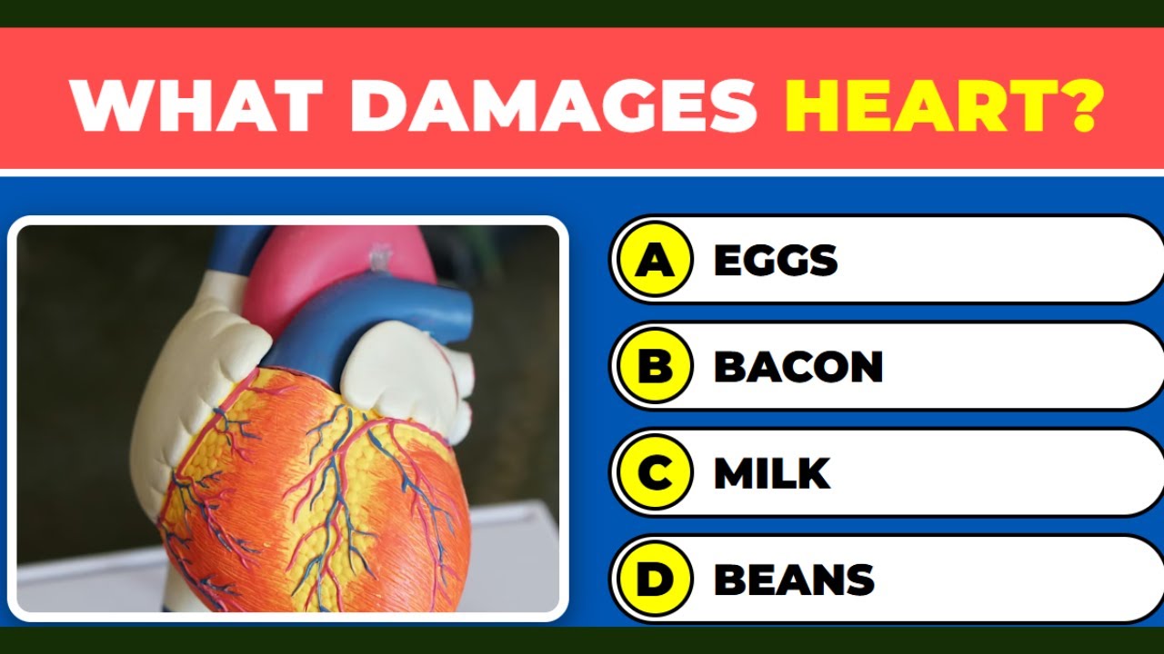 Can You Get 100% On This Human Heart Quiz? 🧠 Find Out Now! 📚