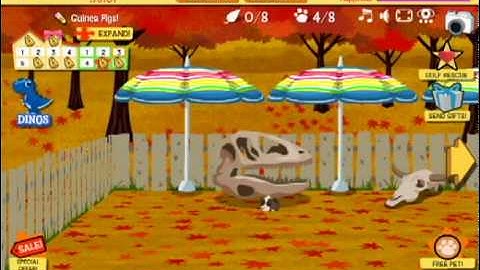 Happy Pets Money Cheat