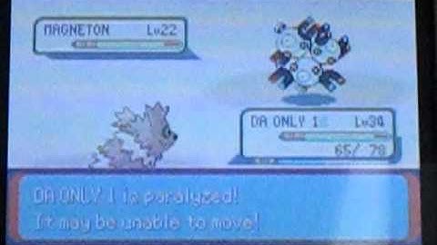 Zigzagoon Only Run Gym Leader Wattson