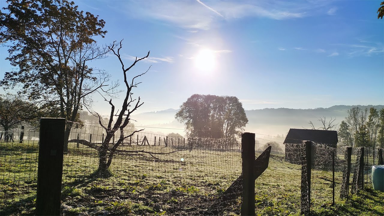 "Nature" - Sax Solo piece by Paul Stoltze
