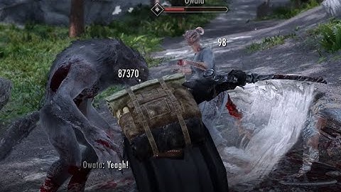 Skyrim SE|Attack Behavior Revamp 5.7.4b|True Directional Movement|Inpa Sekiro|Elder Souls