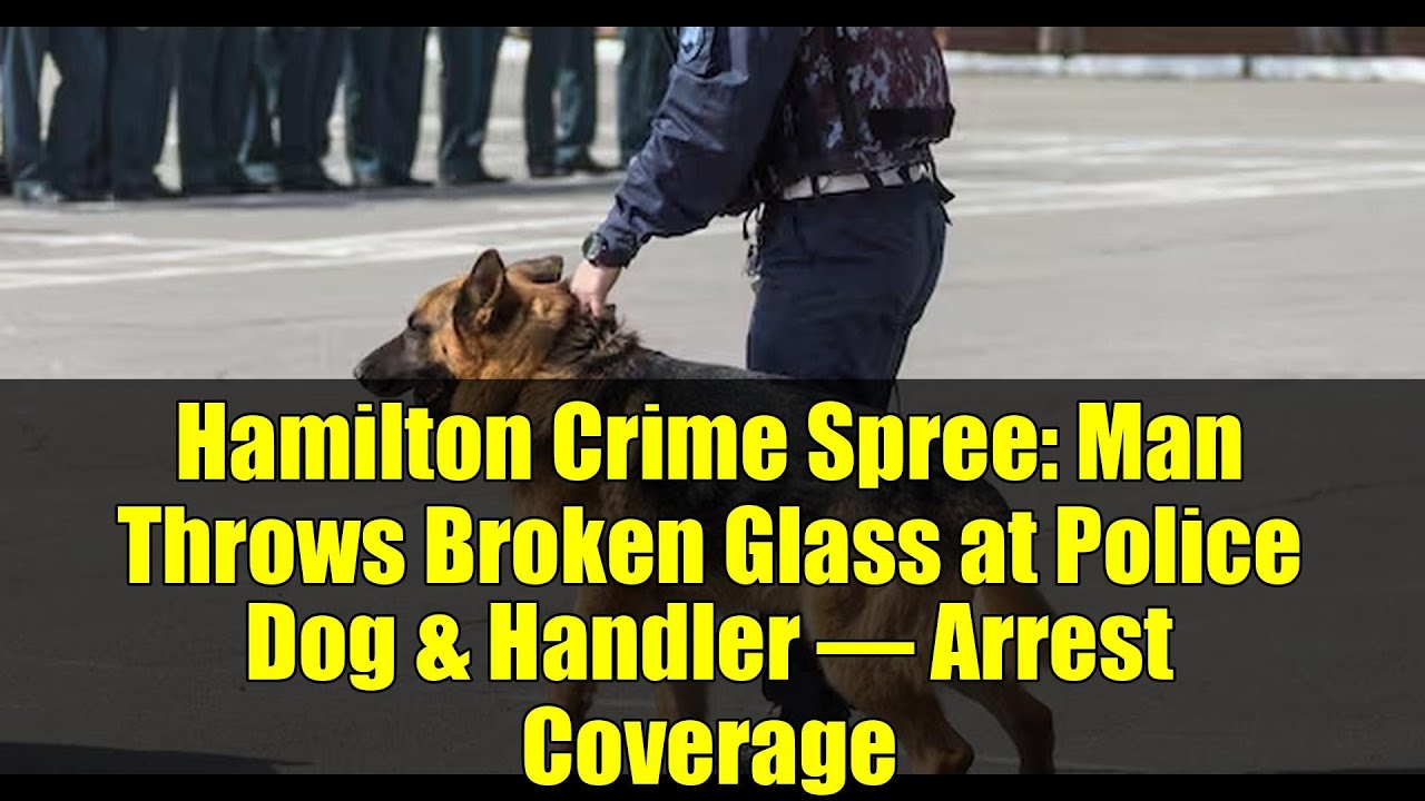 Hamilton Crime Spree: Man Throws Broken Glass at Police Dog & Handler – Arrest Coverage